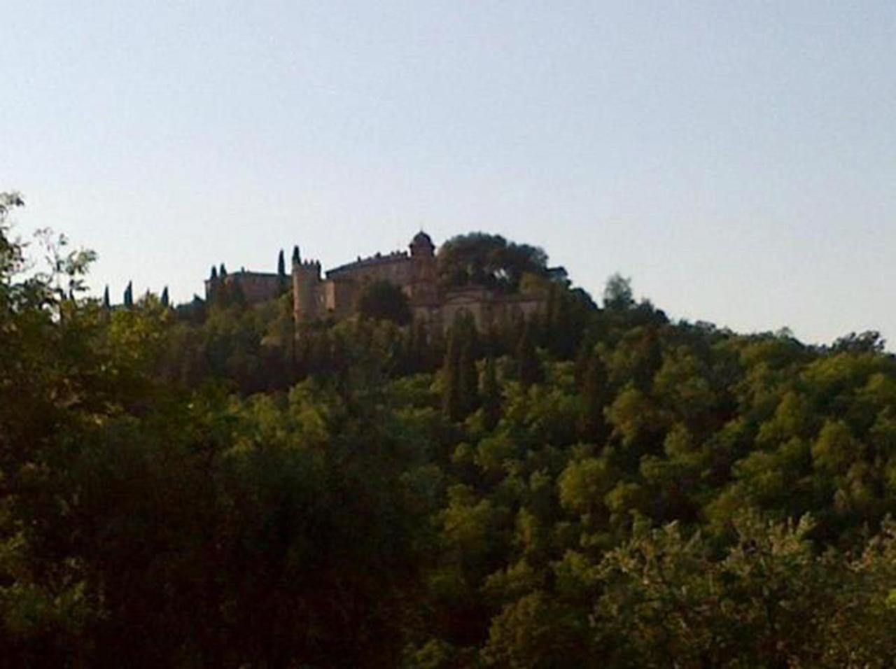 B&B Il Glicine Montefollonico Dış mekan fotoğraf